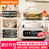苏泊尔（SUPOR）电炖锅 煲汤锅隔水炖锅0涂层家用多功能锅炖蒸煮一体17L电炖盅炖汤锅电蒸锅 DZ20FC871