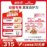 皇家猫粮 幼猫猫粮 干湿搭配 K36 4.5kg+啫喱肉冻KJP 85G*3