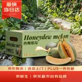 京鲜生 哈密瓜西州蜜/西周蜜 3粒装  净重8-10斤 生鲜水果礼盒