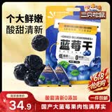 三只松鼠每日蓝莓干500g 蜜饯果干酸甜休闲零食下午茶孕妇儿童健康零食