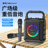 金正ST10手提蓝牙音响大音量低音炮支持话筒混响收款播报支持U盘TF卡播放长续航收音 标准版+双麦克风