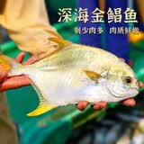 翔泰海南金鲳鱼净重900g2条装 鱼类生鲜 海鲜水产  