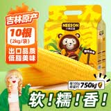 东北农嫂糯玉米段多色可选软糯香吉林原产粘玉米真空低脂粗粮主食 【软糯香】黄糯玉米穗2kg 约10根