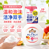 狮王（Lion）泡沫洗手液滋润温和易冲洗儿童成人通用原装进口250ml果香型