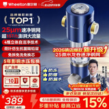 惠尔顿前置过滤器15T大通量过滤25微米反冲洗家用全屋净水器 实时自动清洗刮洗自来水防爆过滤器P0038pro 自行安装【15T-升级25微米精滤】