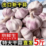 京鲜生河南杞县大蒜带皮新鲜干蒜净重5斤单果5-5.5cm  源头直发