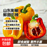 彩椒五彩甜椒水果圆椒不辣太空椒灯笼椒新鲜可即食减脂蔬菜 山东彩椒红+黄4斤净重3.8斤