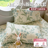 艾薇 A类枕头套枕套一对纯棉家用全棉单人枕套枕芯套 绿野仙踪48*74cm