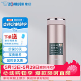 象印（ZO JIRUSHI） 保温杯304不锈钢真空保温保冷杯带滤网泡茶水杯子 JTE34-PX香槟色 340ml