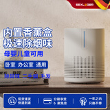 施诺格（SEXLOGER）德国E201壁挂式空气净化器除甲醛除烟味过滤家用除灰尘新风机除雾霾粉尘正负离子消毒机 宠物吸毛 M01-USB电源空气净化器