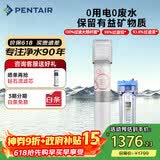滨特尔（pentair） 净水器家用厨下式超滤前置净水机保留矿物质母婴净饮机自来水过滤器饮水机 【推荐】VIR3000S不插电0废水