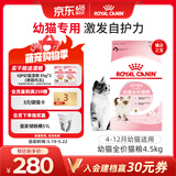 皇家幼猫猫粮 幼猫奶糕 K36 通用粮 4-12月 4.5KG