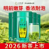 一杯香茶叶绿茶明前头采高山云雾500g2026新茶日照足礼盒装自己喝散装