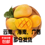【花皮介意慎拍】新鲜四季芒果当季特产水果半熟果发货 带箱1斤单果70-100克（台芒）