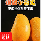 京喜加海南鲜芒果小台水果芒果新鲜上市 带箱6斤【单果90g以上】