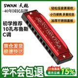 天鹅（SWAN） 10孔C调布鲁斯口琴儿童成人初学者教学推荐口琴中国红