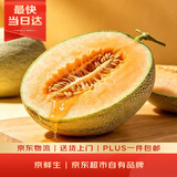 京鲜生 哈密瓜 西州蜜/西周蜜 1粒 单果2.5斤起 生鲜水果