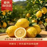 京鲜生 安岳黄柠檬 8粒 单果95g起 生鲜水果