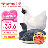 温氏供港白凤乌鸡2.4斤 冷冻月子餐月子鸡汤材料 慢养110天以上