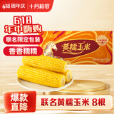 十月稻田 黄糯玉米 3.52斤(220g*8根) 东北粘苞米 早餐杂粮 马年限定