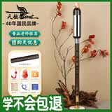 天鹅（SWAN）巴乌紫竹乐器儿童小学生专业演奏款竖吹巴乌G调