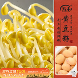 寿禾黄豆芽苗菜种子种苗豆苗水培蔬菜种籽 黄豆种子300g/袋 *2袋