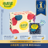 怡颗莓Driscoll's 云南蓝莓14mm+ 12盒装 约125g/盒 新鲜水果礼盒