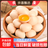 京喜加 鲜鸡蛋 鲜鸡蛋  五谷喂养 山林自养鸡蛋早餐 生鲜超市买菜40g 鲜鸡蛋24枚