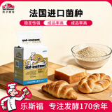 燕子（SAF INSTANT）烘焙原料金装高活性即发干酵母粉无麸质500g耐高糖发酵快法国菌种