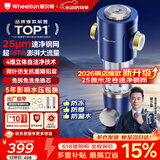 惠尔顿前置过滤器15T大通量过滤25微米反冲洗家用全屋净水器 实时自动清洗刮洗自来水防爆过滤器P0038pro 自行安装【15T-升级25微米精滤】