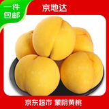京地达黄桃水果桃子蒙阴新鲜应季蜜桃 净重4.5斤 单果150g起 源头直发