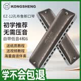 孔声（KONGSHENG）布鲁斯口琴12孔C调口琴新手初学者入门儿童成人专业演奏EZ-12灰色