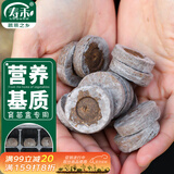 寿禾 育苗块基质营养土种植快 育苗盒专用育苗块30个