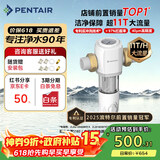 滨特尔（pentair）前置过滤器大通量家用全屋自来水管道过滤器大流量净水器排行前十名水驱涡轮+反冲洗刮洗净水器 【上门安装】S160大通量-40μm