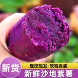 春公子 紫薯正宗新鲜紫罗兰香甜软糯细腻沙地番薯紫心地瓜蔬菜整箱包邮 5斤优选装【新鲜采摘】净重4.5斤