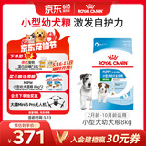 皇家狗粮幼犬狗粮幼犬奶糕宠物小型犬MIJ31全价犬粮2-10月8KG