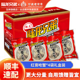 陆龙兄弟红膏呛蟹咸蟹 全母梭子蟹宁波炝蟹个大膏多 宁波舟山冷冻海鲜水产 [礼盒装]红膏呛蟹500g*4袋