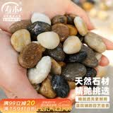 寿禾 鹅卵石鱼缸装饰造景天然石头庭院花盆铺面 0.8-1.5cm鹅卵石5斤