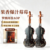 朗柏特法国进口红酒干红葡萄酒小提琴罗纳河谷AOP750ml*2送礼礼盒