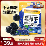 三只松鼠每日蓝莓干500g 蜜饯果干酸甜休闲零食下午茶孕妇儿童健康零食