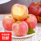 山东烟台丑苹果新鲜水果苹果当季脆甜水果产地直发 3斤装净重2.7斤大果（80-90mm）