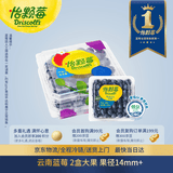 怡颗莓Driscoll's 云南蓝莓14mm+ 2盒装 约125g/盒 新鲜水果