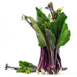 紫菜苔300g