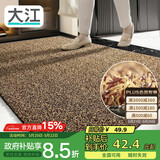 大江入户门地垫入户脚垫进户门门口地垫门外蹭土门垫57x87cm