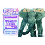 沈石溪动物小说大party：最后一头战象 
