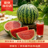 京鲜生 无籽麒麟西瓜 1粒装 净重7-9斤 生鲜水果