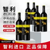 智象智利炫彩混合干红葡萄酒750ml*6 整箱装红酒 智利进口红酒