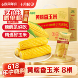 十月稻田 黄糯香玉米 8根 3.52斤  早餐粗粮 杂粮礼盒 低脂 东北