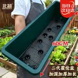 北蔬 霍伦盆大号深款长条种花蔬菜种植盆 二代(加长)深绿色霍伦盆1个