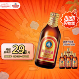 青岛啤酒（TsingTao）金质小棕金低温酿造296ml*6瓶